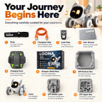 A product bundle infographic for the Loona All Day Buddy robot toy, showing 10 included accessories and packaging arranged in a grid with numbered callouts on a light gray background. The infographic includes a strap, charging cable, code plate, user manual, charging dock, robot wrapper in retail box, EPP bottom box, EPP middle layer, EPP upper layer, and the Loona robot itself.