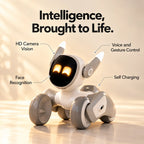 A small wheeled robot toy with a white body, gray wheels, and glowing orange eyes, shown on a warm beige background with callout text describing features like HD camera vision, face recognition, voice and gesture control, and self charging.
