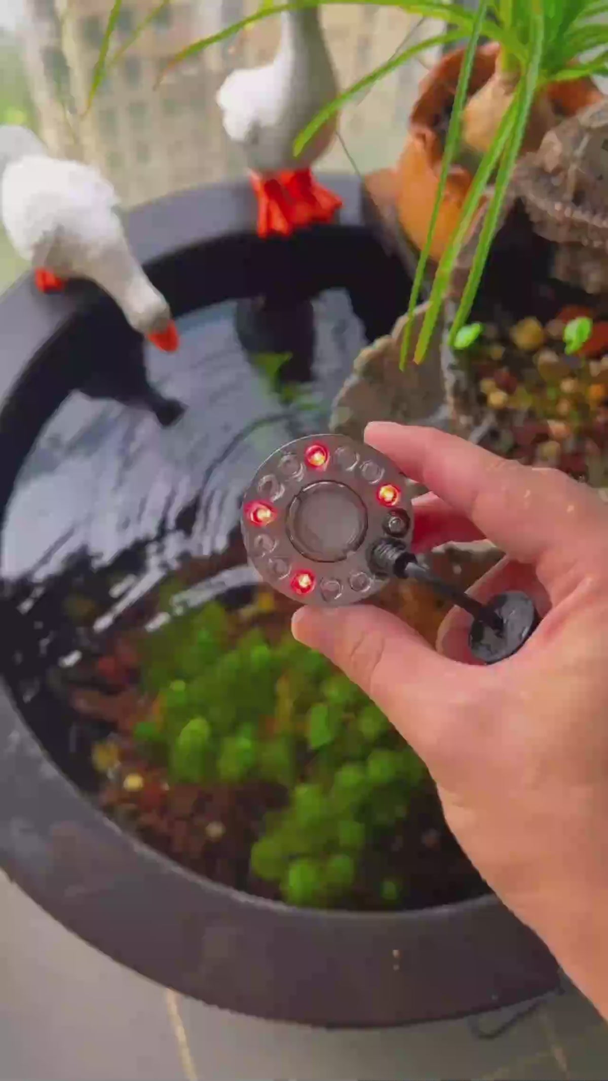 LED Halloween Fog Mist Maker with Color Changing Lights